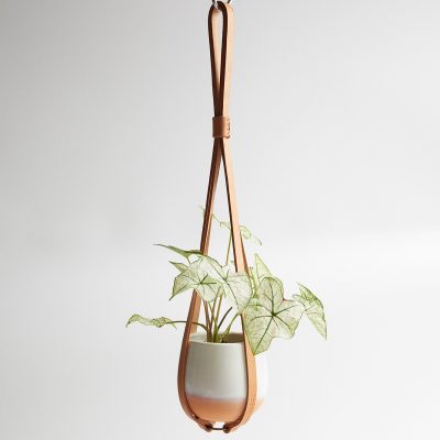 acorn - leather plant hanger with small plant - Shopfox