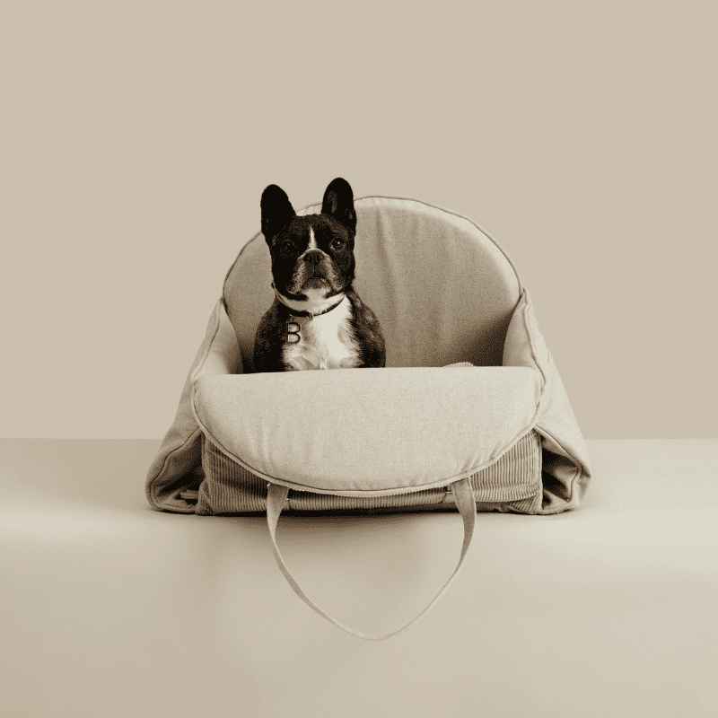 Dog bed outlet carrier